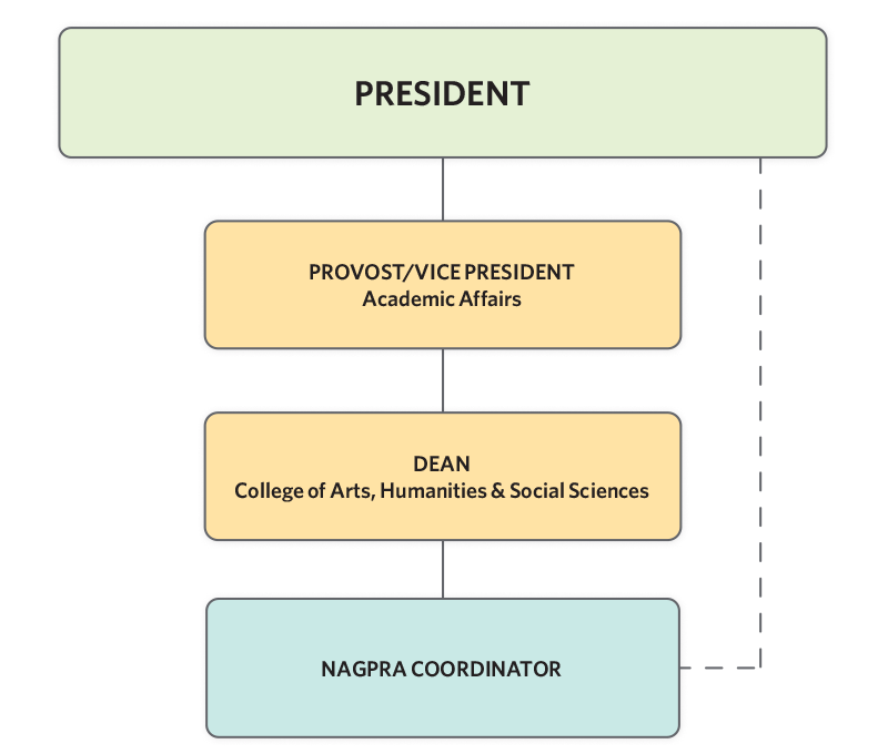 The NAGPRA Coordinator reports to the Dean of College of Arts, Humanities & Social Sciences but there is a dotted line to the President